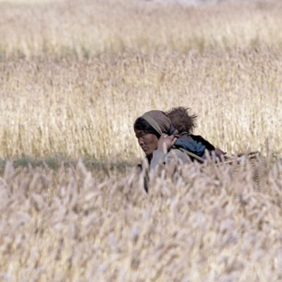 31 - Mamma con il bambino nei campi