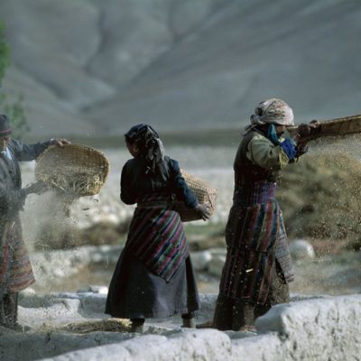 33 - Separazione della pula dai grani d’orzo