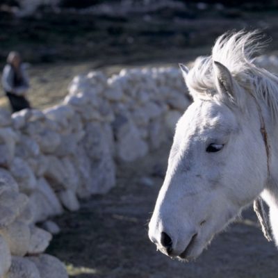 40 - Nei campi del Regno di Lo